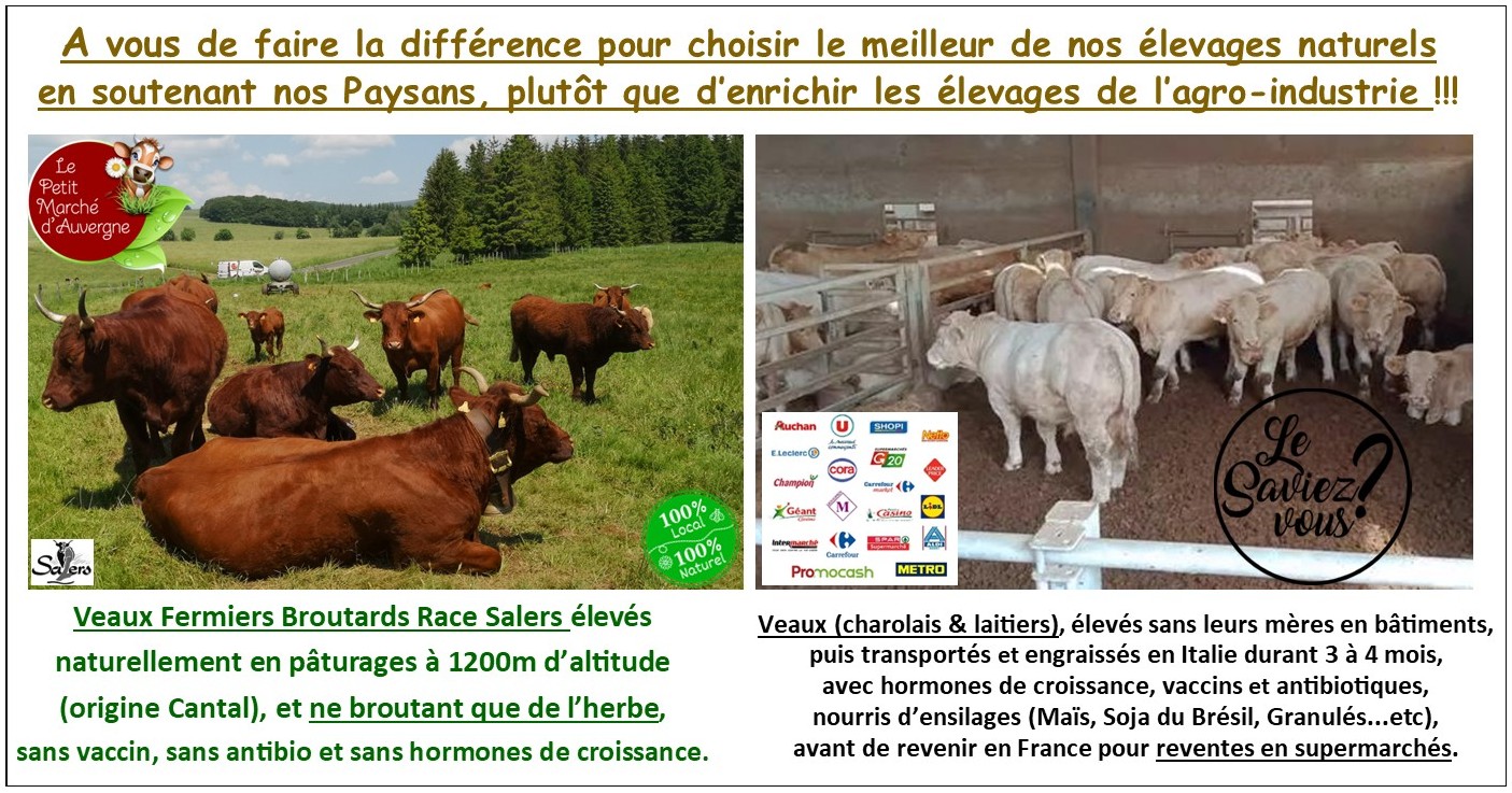 Colis de Veau Fermier Broutard Race Salers (disponibles les 9 et 10 Octobre 2026) – Image 2